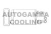 AUTOGAMMA 103895 Heat Exchanger, interior heating